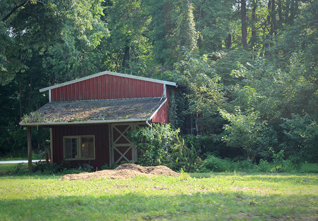 A picture of a little red shed